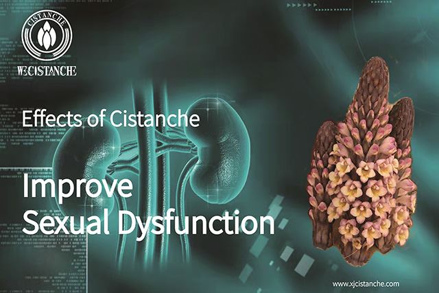 the effects of Cistanche:improve sexual dysfunction
