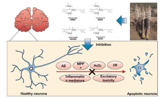 figure 14