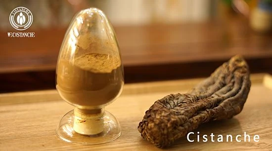 Cistanche deserticola