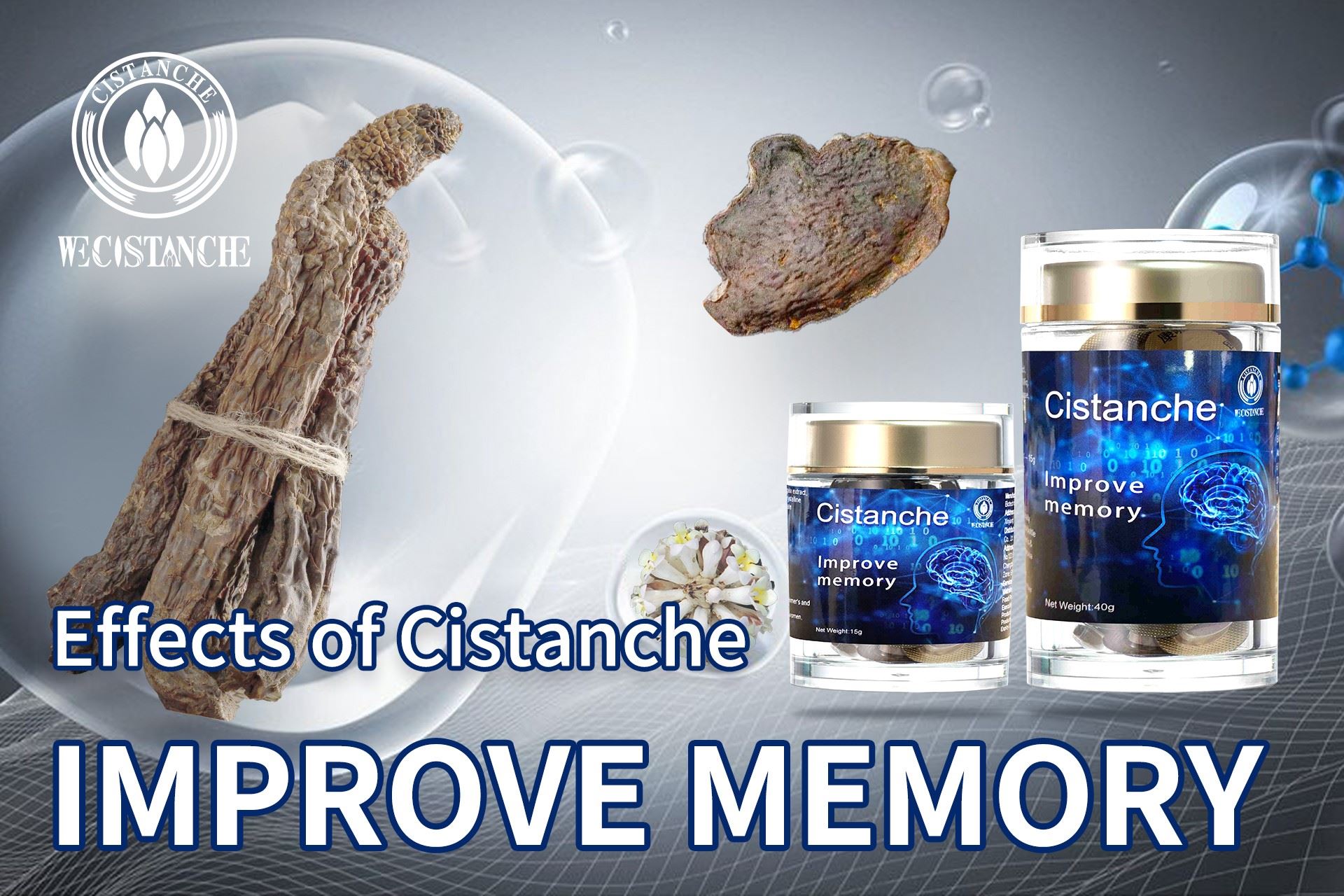 improve memory function Cistanche