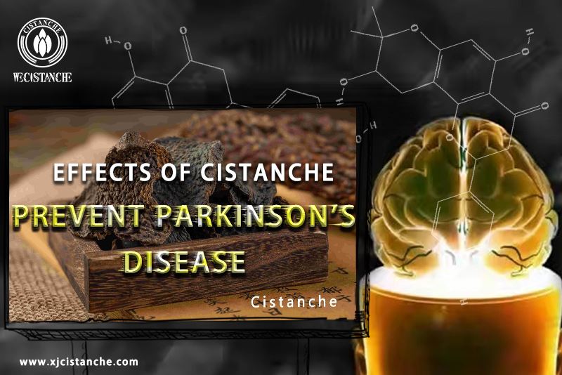 neuroprotective effects of cistanche