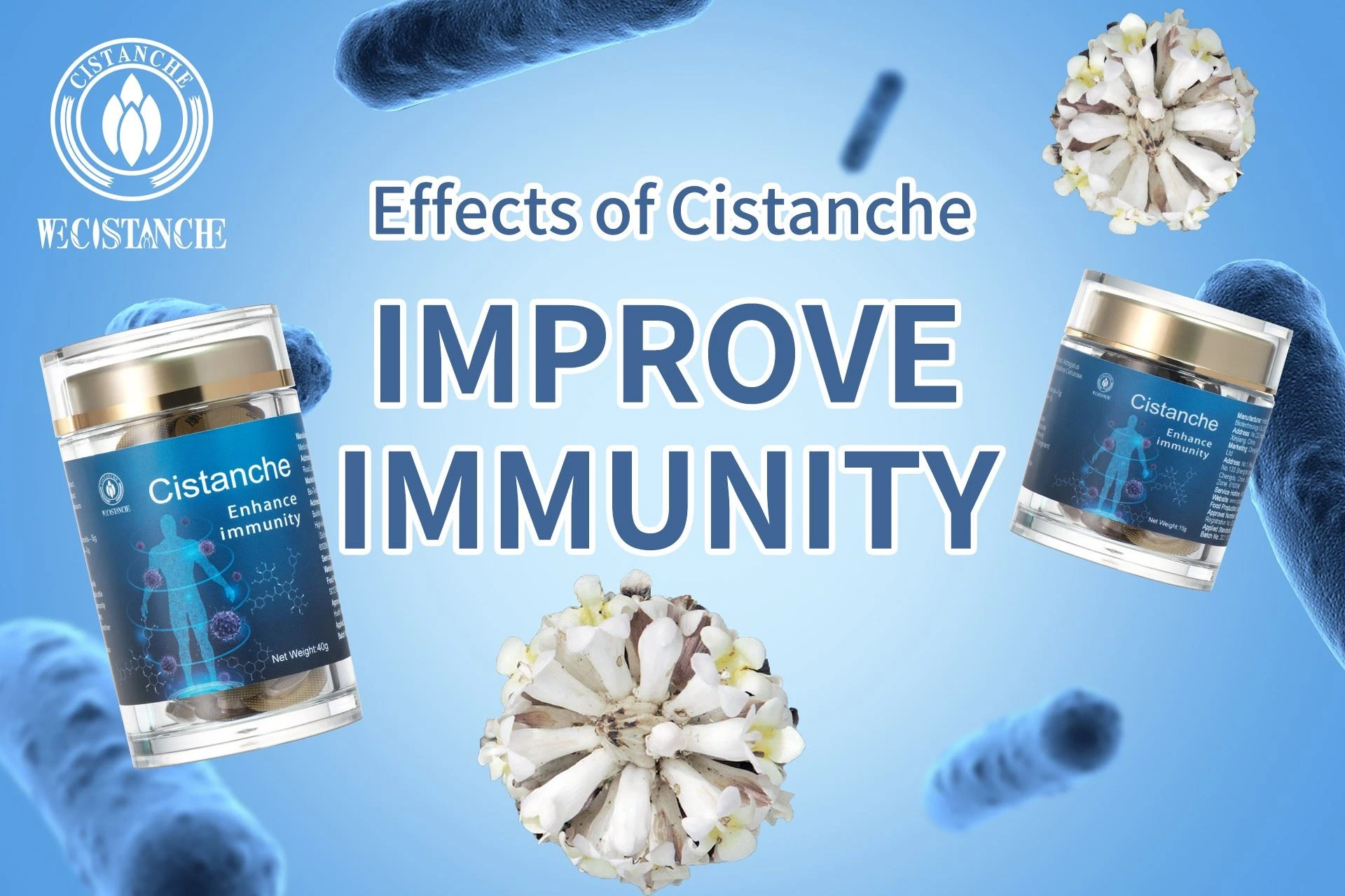 improve immunity effect of Cistanche tubulosa supplement improve immunity effect of Cistanche tubulosa supplement