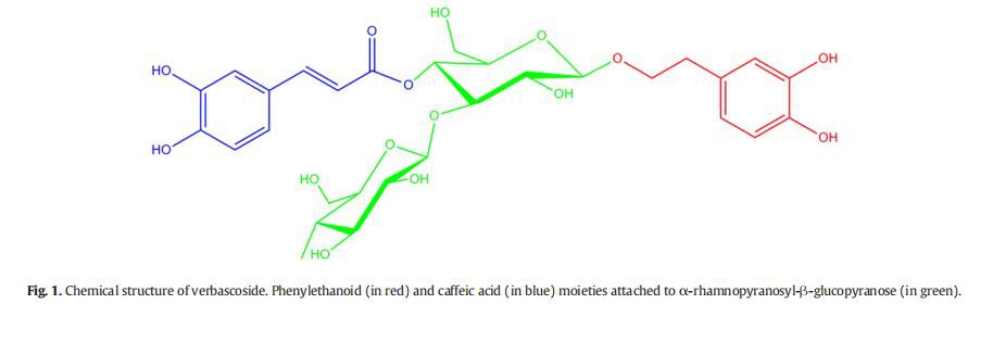 Verbascoside in Cistanche for Anti-inflammatory function