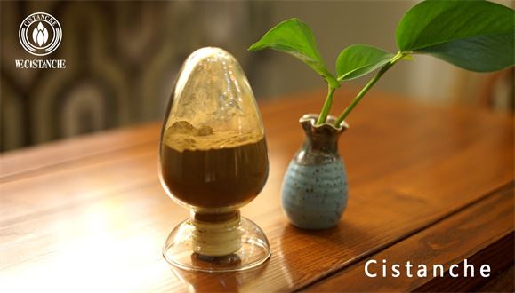 precious herb for constipation and Parkinson's disease