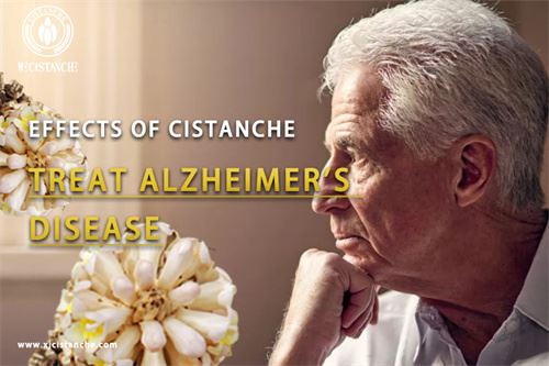 Cistanche for Alzheimer's disease,click here to know more