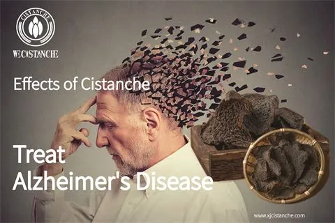effects of Cistanche treat Alzheimer's disease (9)
