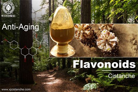 flavonoids anti aging flavonoids anti aging