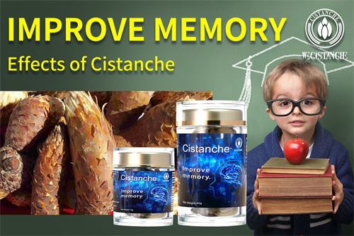 cistanche supplement improve memory