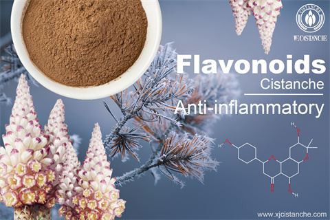 Anti-inflammatory effect of cistanche