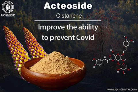 BEST HERB FOR ANTI-COVID BEST HERB FOR ANTI-COVID
