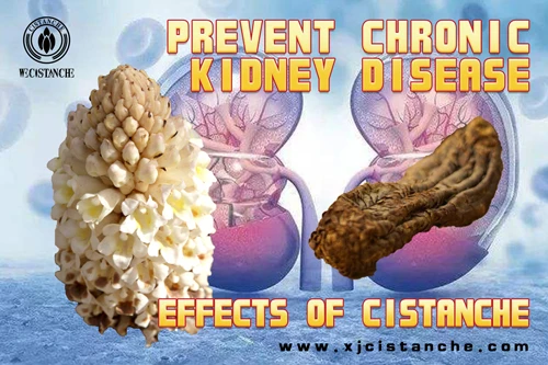 how to cure kidney disease how to cure kidney disease