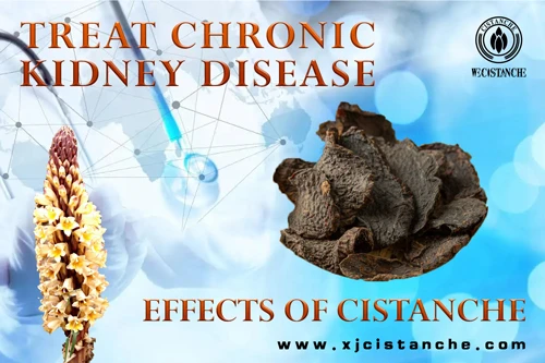 kidney problem treatment kidney problem treatment