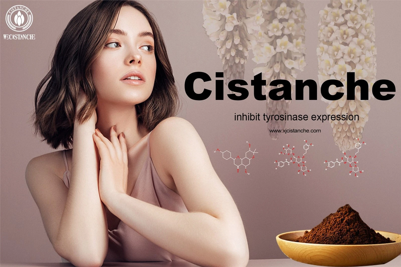 cistanche whole foods