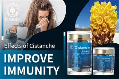 Cistanche benefits