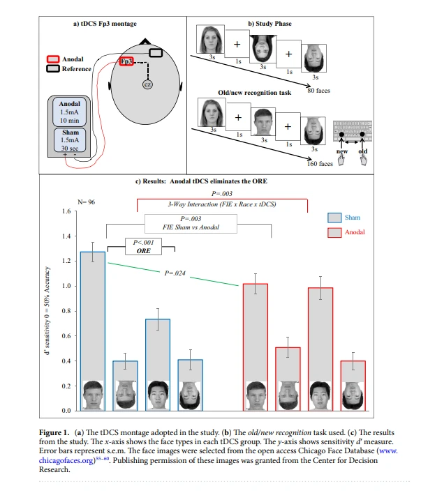 improve cognitive function improve cognitive function