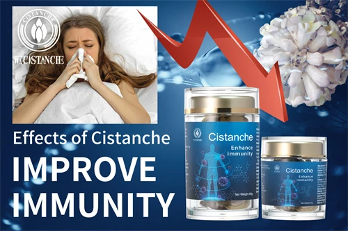 cistanche tubulosa for improving immune function cistanche tubulosa for improving immune function
