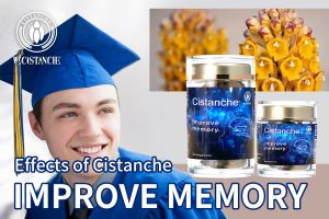 increase brain power increase brain power