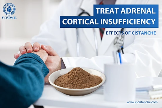 Cistanche deserticola efficacy-Tonifying kidney (8)