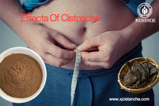 Benefits of cistanche tubulosa